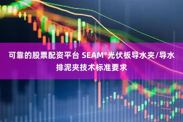 可靠的股票配资平台 SEAM®光伏板导水夹/导水排泥夹技术标准要求