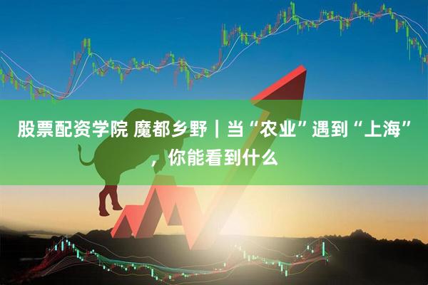股票配资学院 魔都乡野｜当“农业”遇到“上海”，你能看到什么