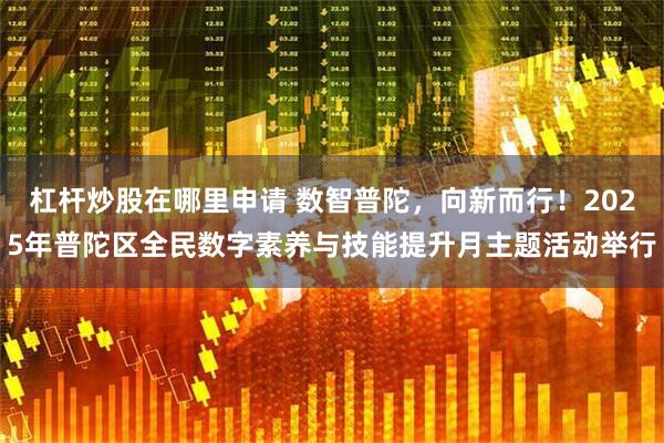 杠杆炒股在哪里申请 数智普陀，向新而行！2025年普陀区全民数字素养与技能提升月主题活动举行