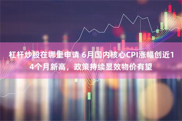杠杆炒股在哪里申请 6月国内核心CPI涨幅创近14个月新高，政策持续显效物价有望