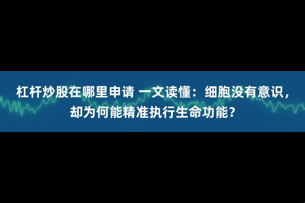 杠杆炒股在哪里申请 一文读懂：细胞没有意识，却为何能精准执行生命功能？