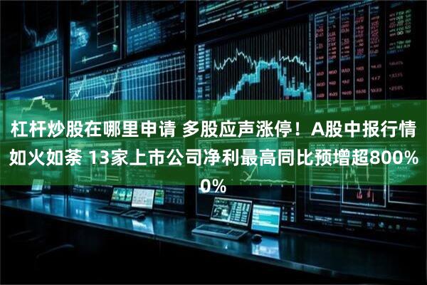 杠杆炒股在哪里申请 多股应声涨停！A股中报行情如火如荼 13家上市公司净利最高同比预增超800%
