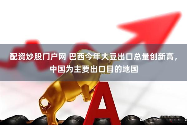 配资炒股门户网 巴西今年大豆出口总量创新高，中国为主要出口目的地国