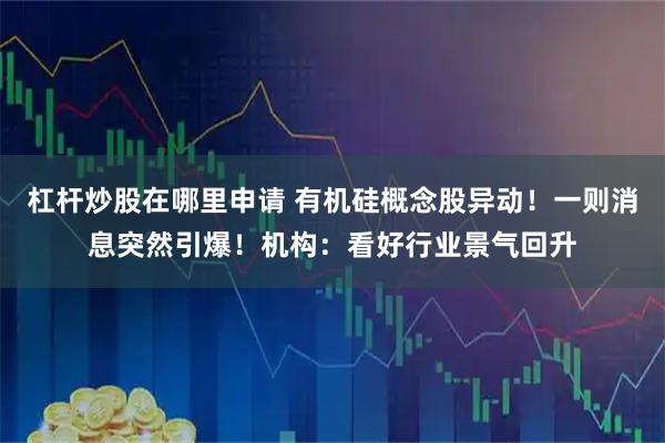 杠杆炒股在哪里申请 有机硅概念股异动！一则消息突然引爆！机构：看好行业景气回升